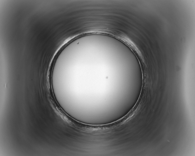 X0000087600892200704271041
