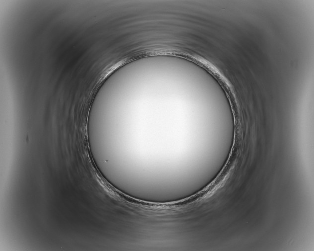 X0000087600897200704271041