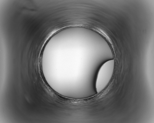 X0000087600899200704271041