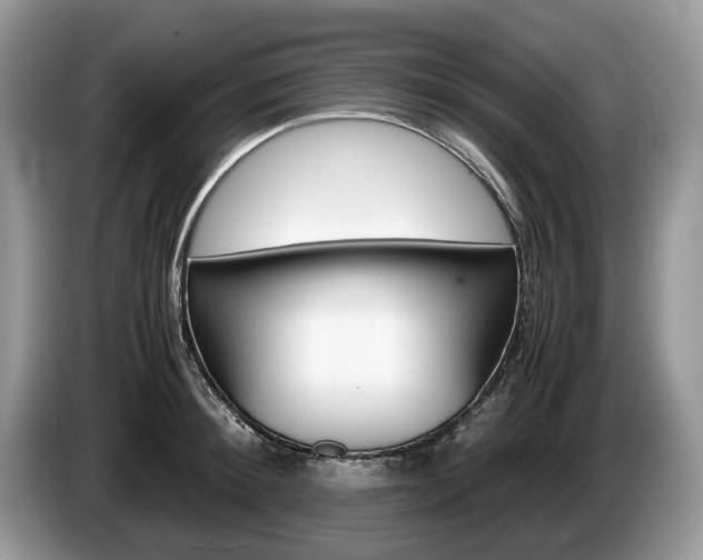 X0000087600900200704271041
