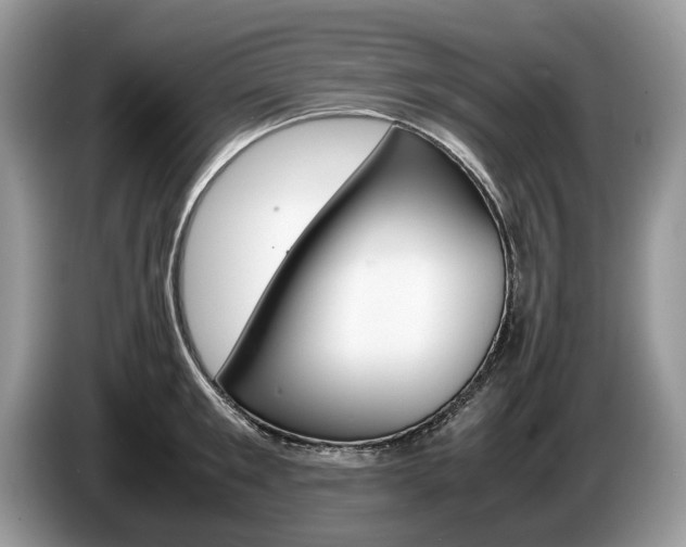 X0000087600901200704271041