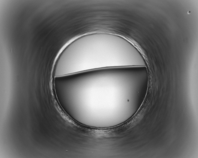 X0000087600904200704271041