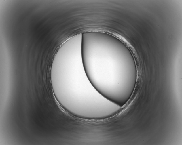 X0000087600905200704271041