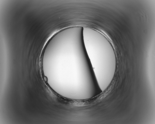 X0000087600907200704271041