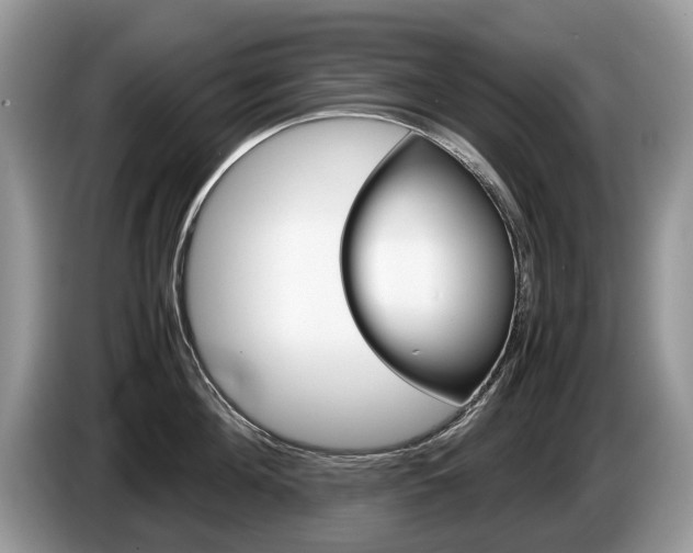 X0000087600908200704271041