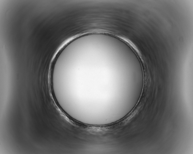 X0000087600910200704271041