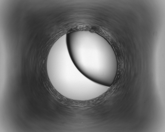 X0000087600914200704271040