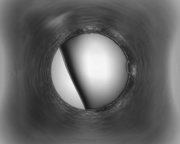 X0000087600915200704271040