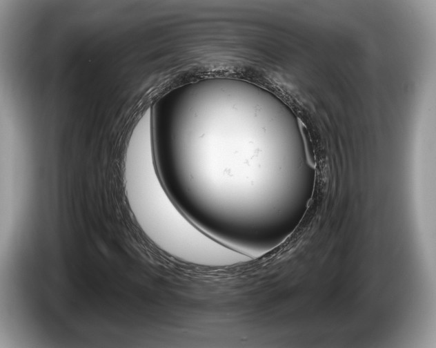 X0000087600916200704271040