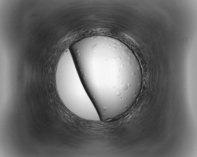 X0000087600917200704271040