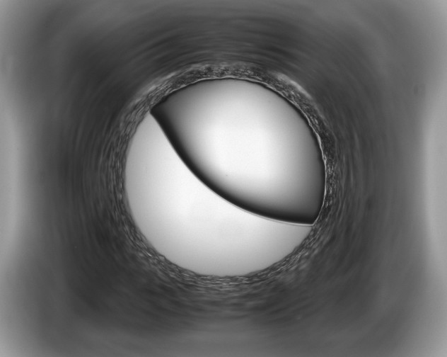 X0000087600919200704271040