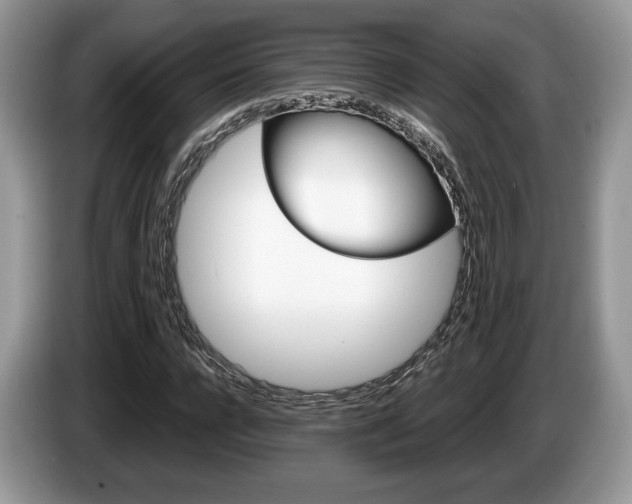 X0000087600920200704271040