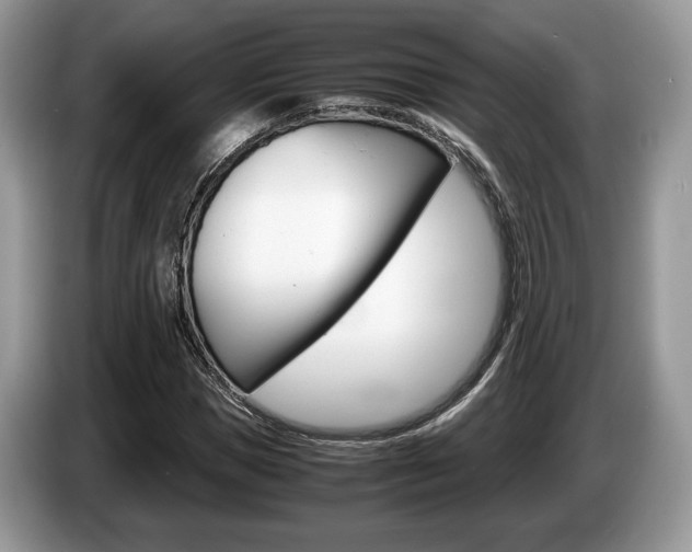 X0000087600921200704271040