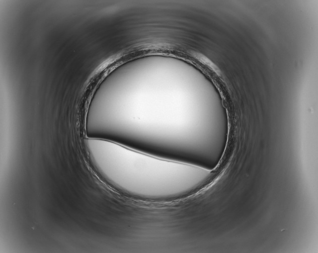 X0000087600922200704271040