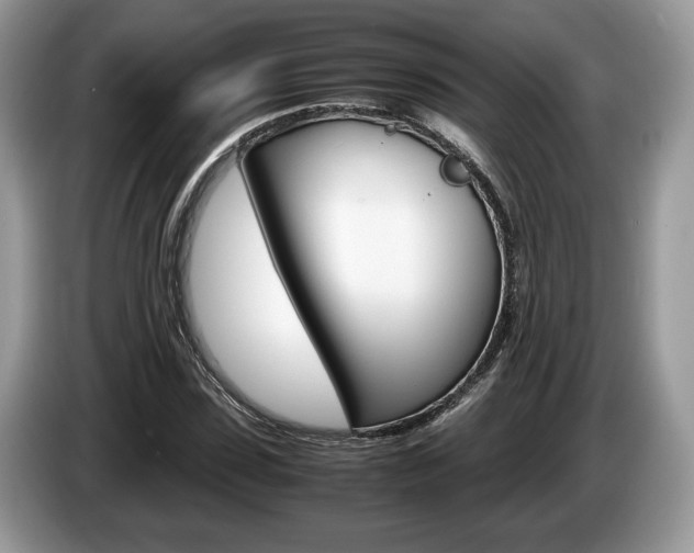 X0000087600923200704271040