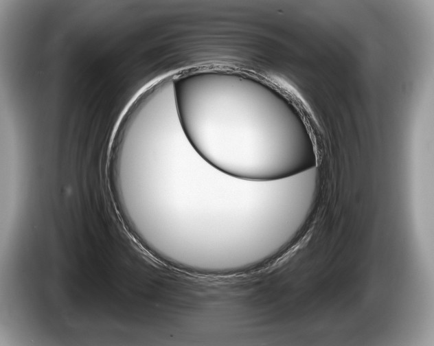 X0000087600924200704271040