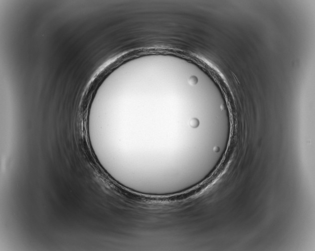 X0000087600925200704271040