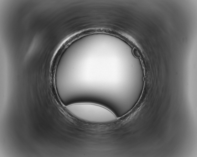 X0000087600927200704271040