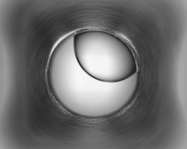 X0000087600928200704271040