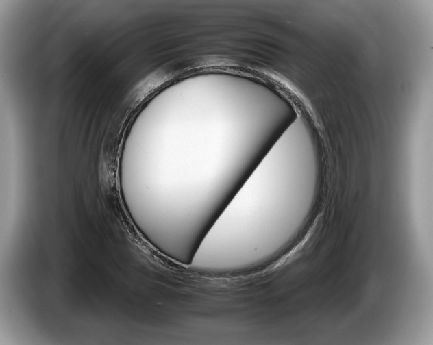 X0000087600929200704271040
