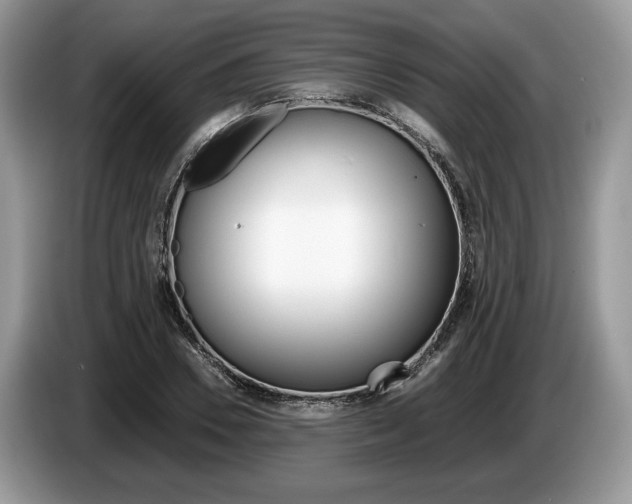 X0000087600930200704271040