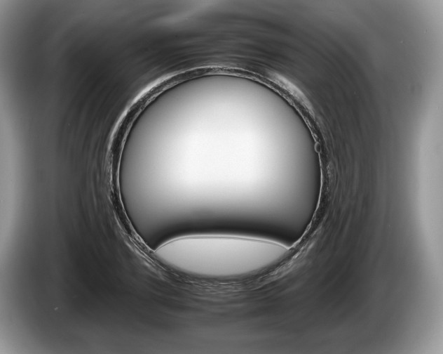 X0000087600931200704271040