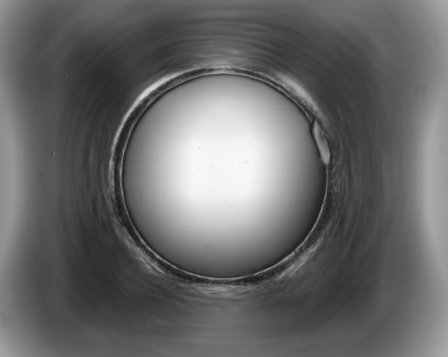 X0000087600932200704271040