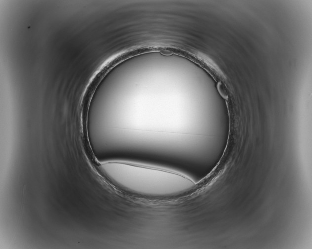 X0000087600934200704271040