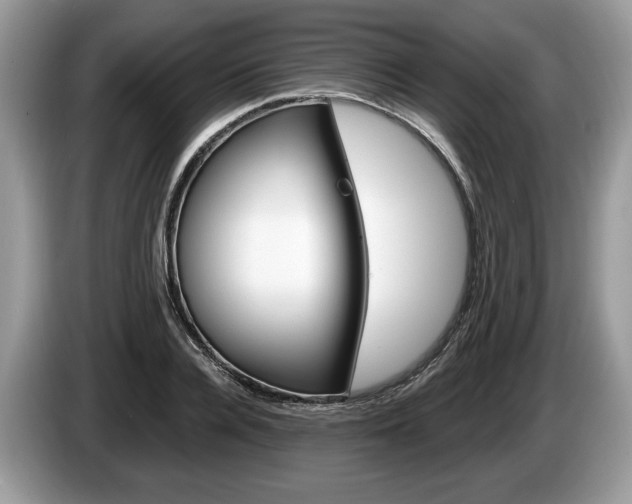 X0000087600936200704271040