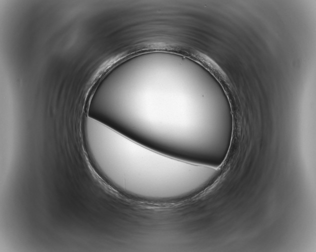 X0000087600938200704271040