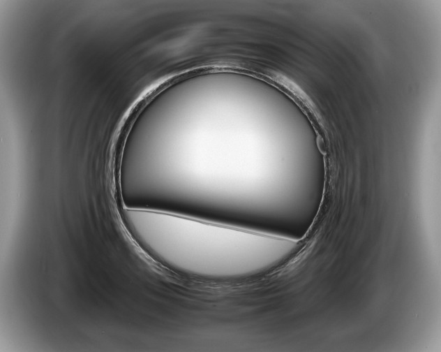 X0000087600939200704271040