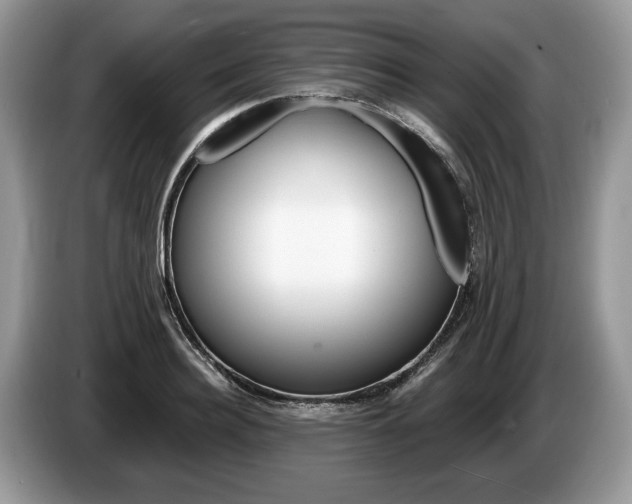 X0000087600940200704271040