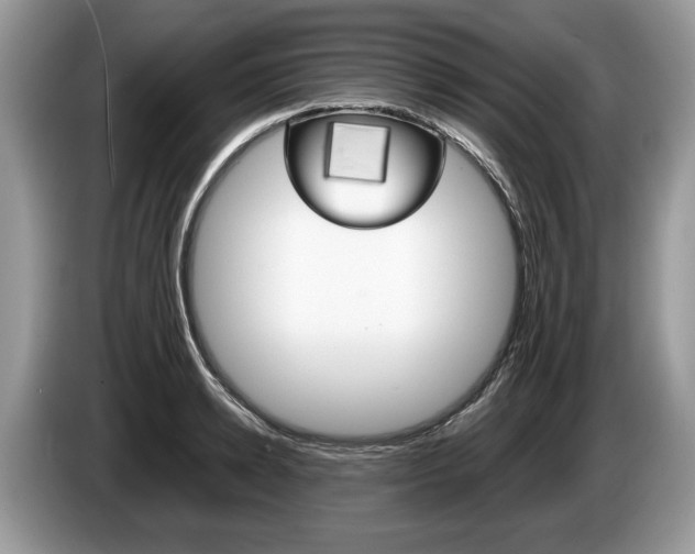 X0000087600942200704271040