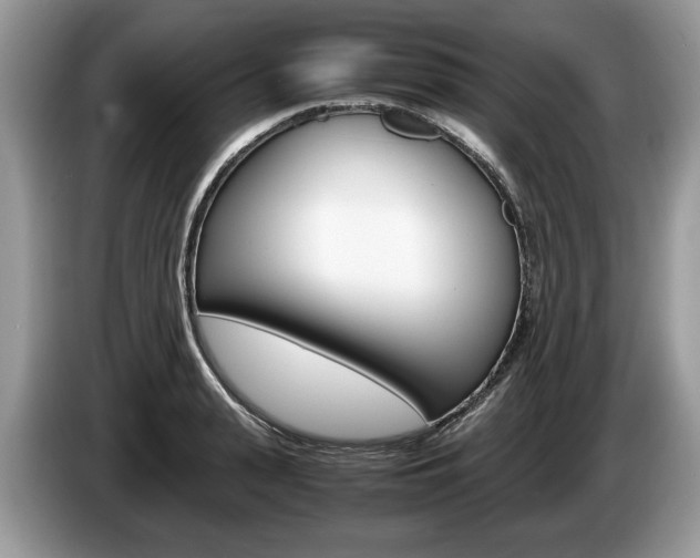 X0000087600943200704271040