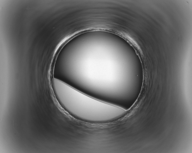 X0000087600944200704271041