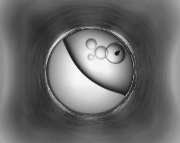 X0000087600949200704271041