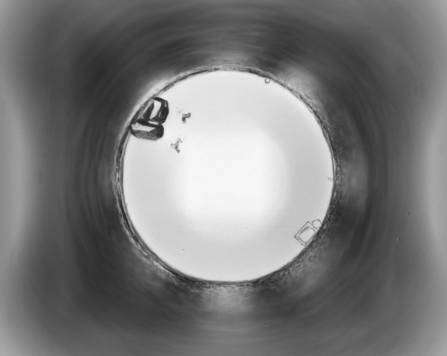 X0000087600950200704271041