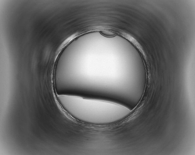 X0000087600954200704271041