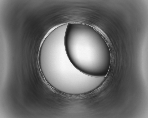 X0000087600956200704271041