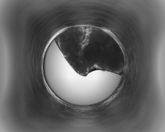 X0000087600957200704271041