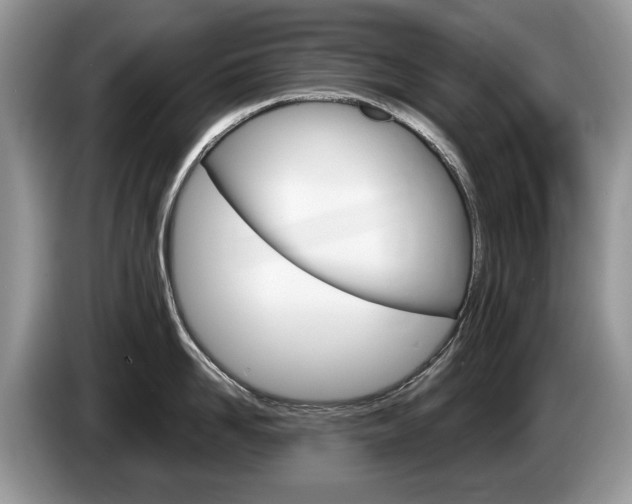 X0000087600958200704271041