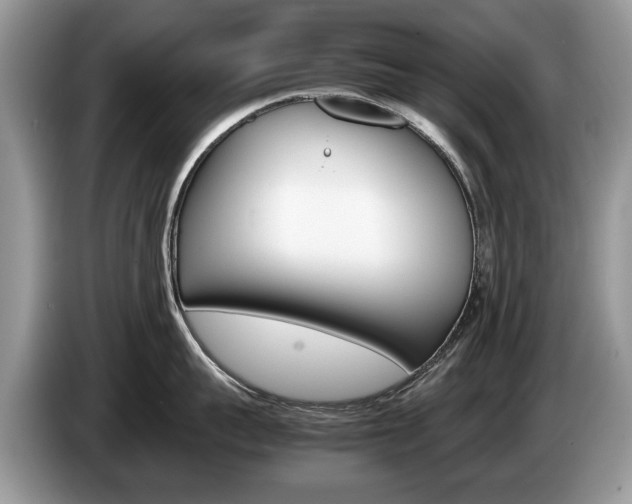 X0000087600959200704271041