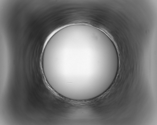 X0000087600960200704271041