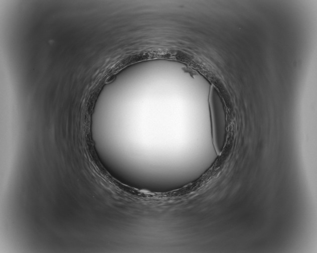 X0000087600961200704271040