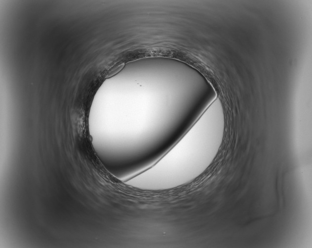 X0000087600963200704271040