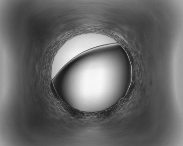 X0000087600965200704271040