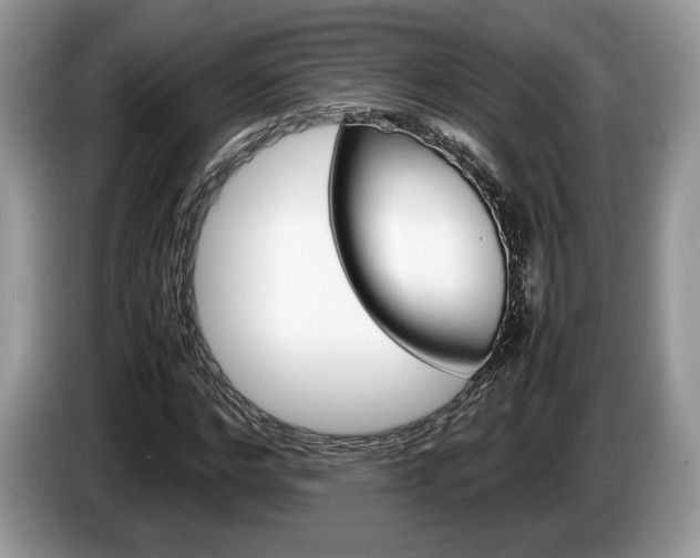 X0000087600968200704271040
