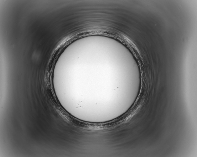 X0000087600970200704271040