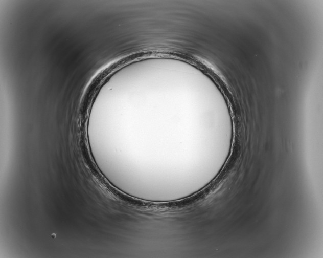 X0000087600971200704271040