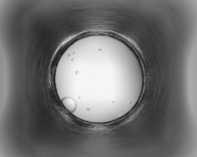 X0000087600974200704271040